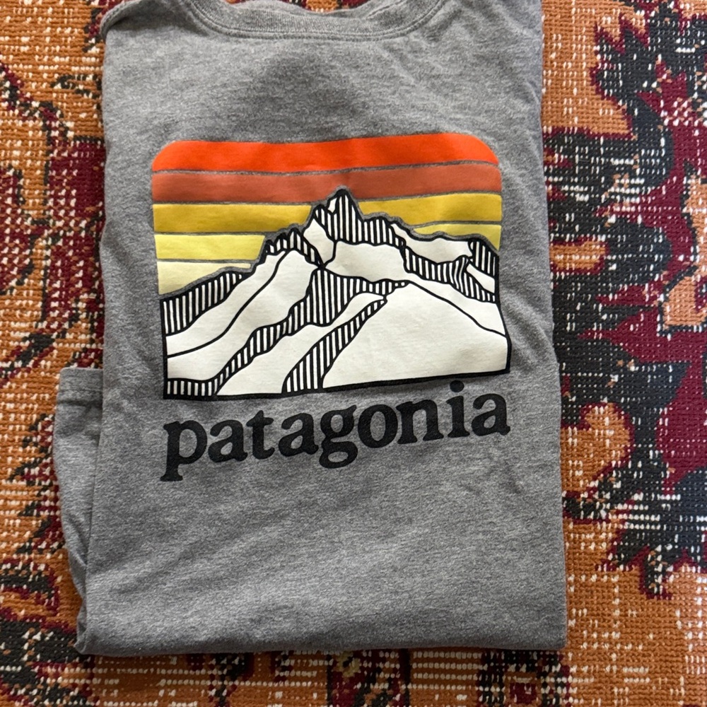 Patagonia Gray Tee with Mountain Graphic Boys Great Used